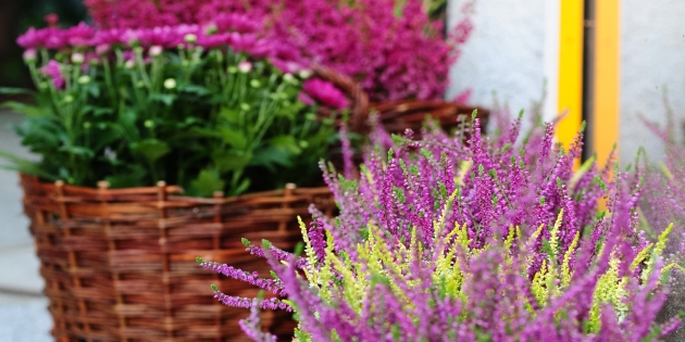 Fotograf na eventy 45